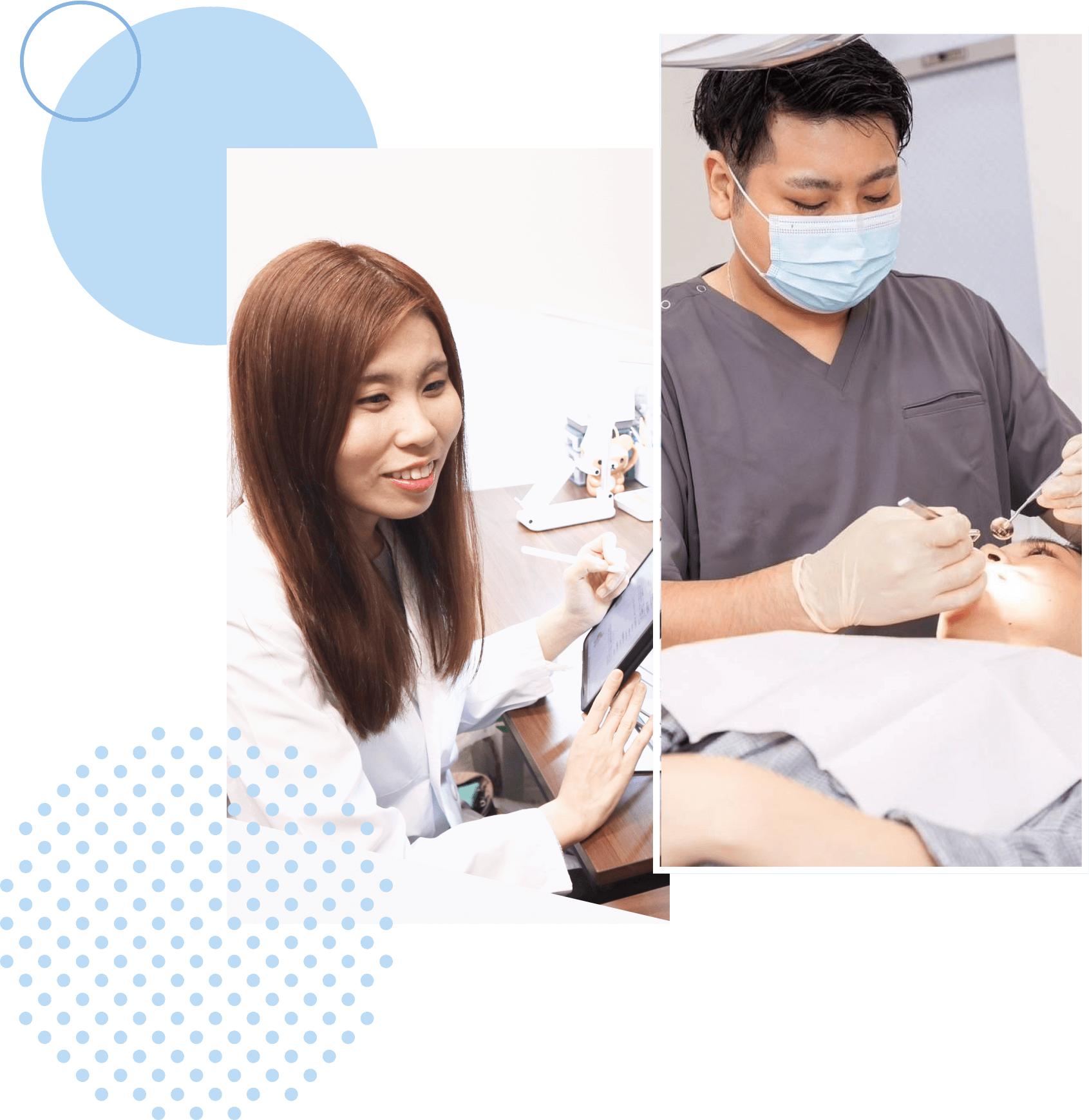 未来につなぐ、正しい知識を。